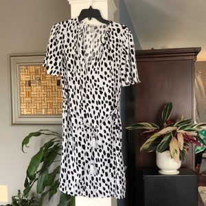 Animal Print A New Day Tunic/Dress